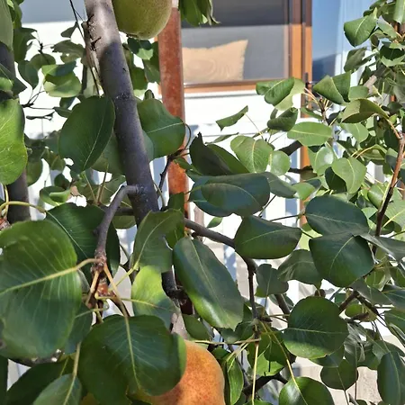 Enem 2 Blagaj Mostar