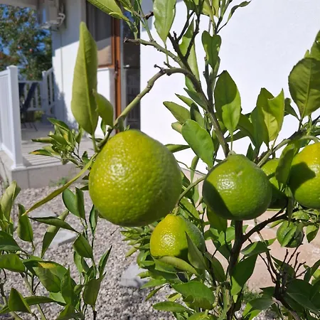 Apartment Enem 2 Blagaj