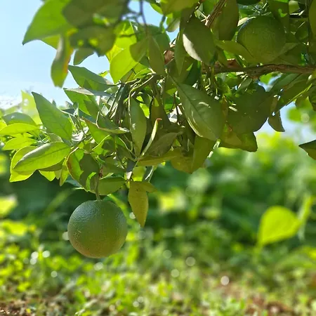 Enem 2 Blagaj Apartamento Mostar